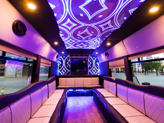 Vaughan Party Bus